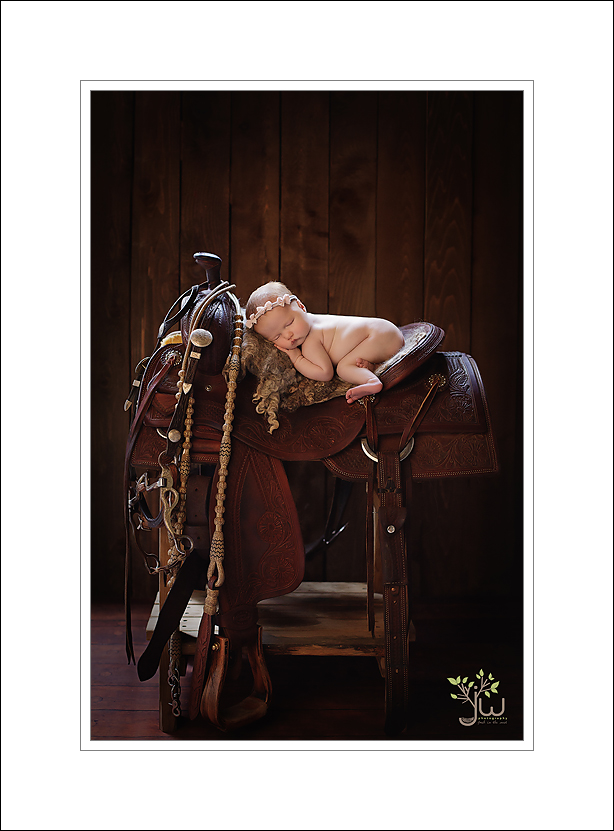 Beest Ennumclaw newborn photographer